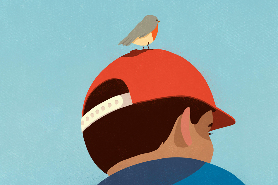 Low angle view small bird perched on red baseball cap on boy's head 