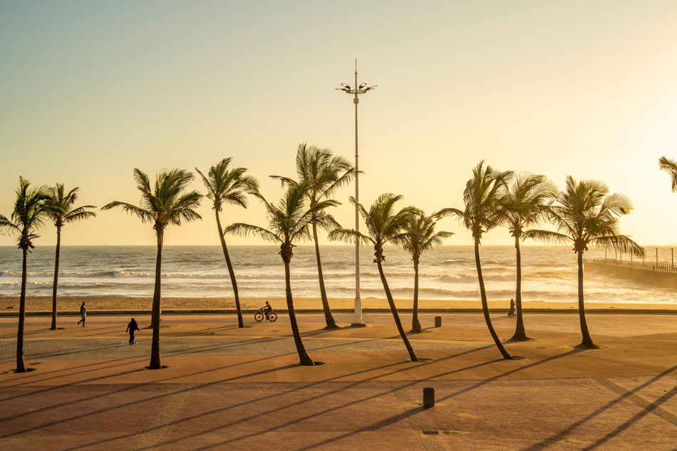 View of palm trees, promenade and Indian Ocean in background at sunrise, Durban, KwaZulu-Natal Province, South Africa