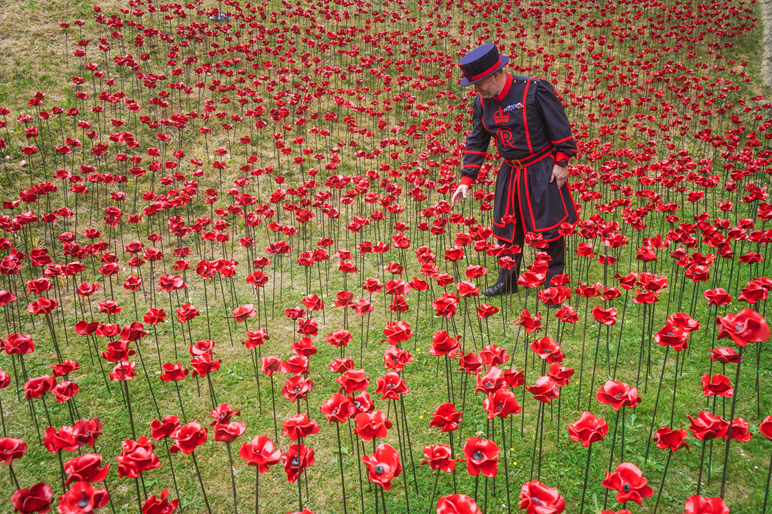 A yeoman warder poses with the installation ceramic poppies at The Tower of London to mark the 80th anniversary of the end of the Second World War